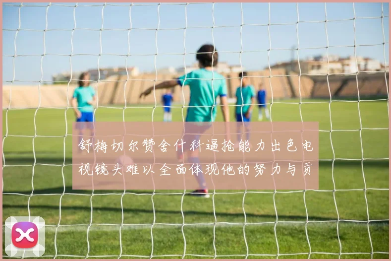 舒梅切尔赞舍什科逼抢能力出色电视镜头难以全面体现他的努力与贡献